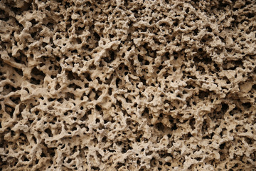 coral sea texture