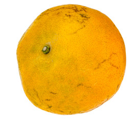 Orange on a white background