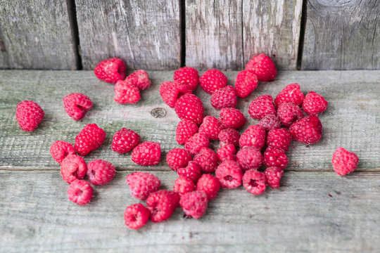 Raspberry on a wooden bench. Natural composition