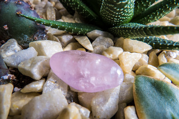 A clean natural background with plants, stones, and a pink Quartz.