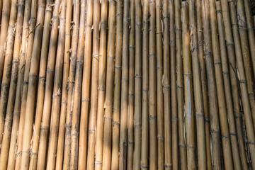 Fototapeta premium Walkway wood texture a natural