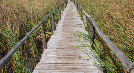 Fototapeta premium Walkway wood texture a natural