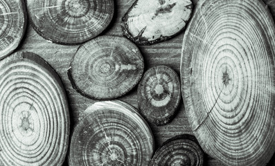 Treated pine logs with different color stain / Pine logs / Many uses for outdoor structures like...