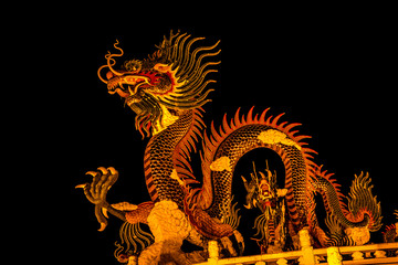Exotic gold dragon on black sky background