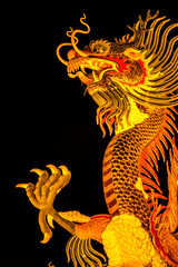 Exotic gold dragon on black sky background