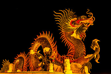 Exotic gold dragon on black sky background