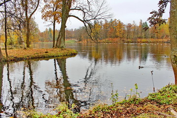 Beautiful romantic alley in a park with colorful trees and sunlight. autumn natural background Gatchina