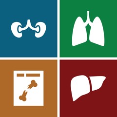 Set of 4 anatomy filled icons
