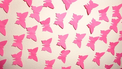 Pink butterflies on the wall