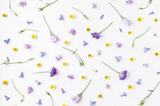 Flowers composition. Pattern made of various colorful flowers on white background. Flat lay, top view