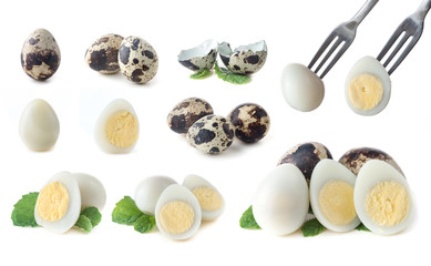 boiled quail eggs on white background
