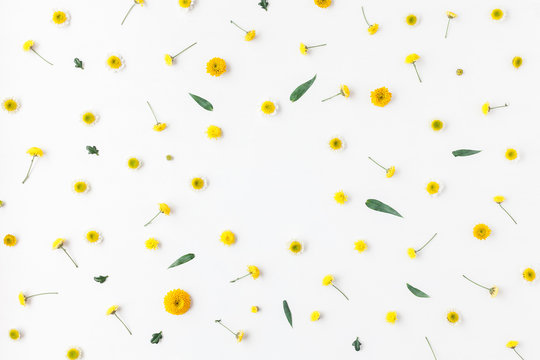 Flowers composition. Frame made of various yellow flowers on white background. Flat lay, top view