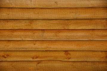 Текстура дерева © butus