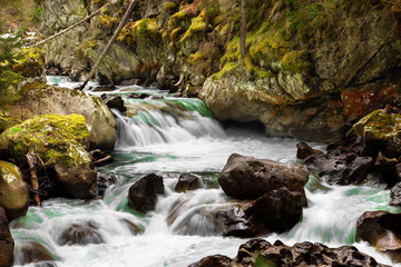 Fototapeta na wymiar rushing mountain stream in the summer