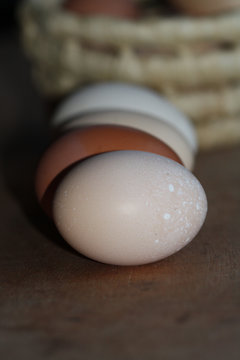 Colored Eggs  Lying In A Line In Front Of Basket With Eggs