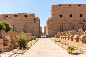Luxor Sphinxenalle Eingang