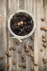 coffee body scrub with olive and coconut oils. homemade cosmetics.
