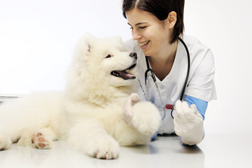 smiling veterinarian with dog in vet clinic, blood exam