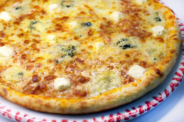 cheese pizza