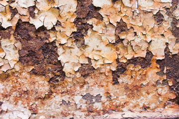 Rusted Metallic Surface