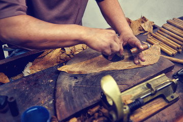 Closeup of hands making cigar from tobacco leaves. Traditional manufacture of cigars. Dominican Republic
