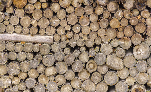 Einheitlichkeit Bilder Durchsuchen 6,295 Archivfotos,