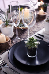 Table served with succulents for dinner in living room