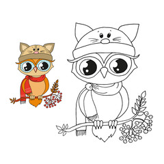 Cute colorful owl in cap sitting on rowan tree