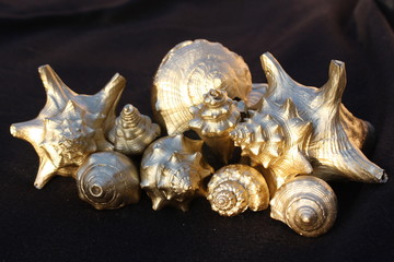 Golden Seashells 