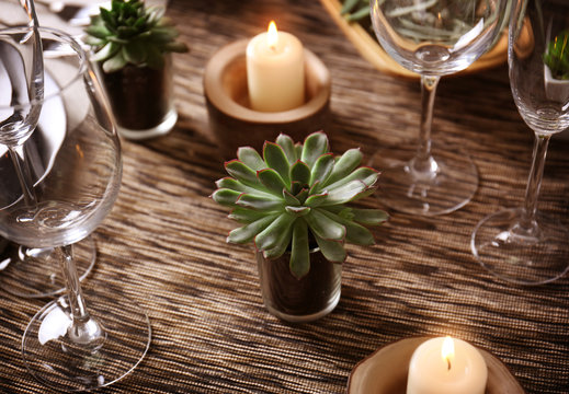 Table served with succulents for dinner in living room