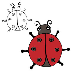 Cute ladybird isolated on the white background