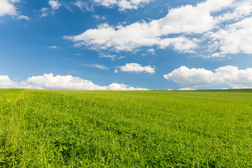 Natural clean meadow and sky with white clouds in Slovakia