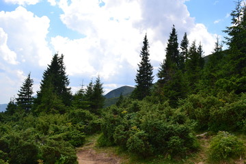 mountain Carpathians