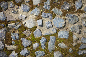 A fragment of an old cobblestone road