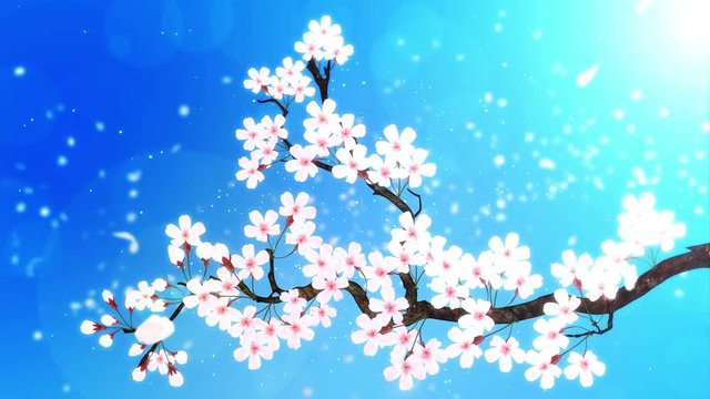 満開になる桜の花びら 青