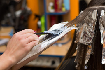 Professional hairdresser coloring hair