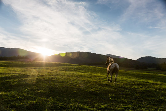 View of a horse in the Slovakian region Orava