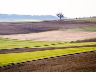 Ackerbau im Winter