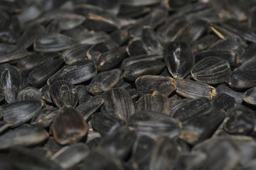 sunflower seeds
