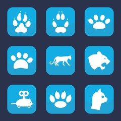 Set of 9 cat filled icons