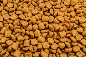 Dried cat food. Background