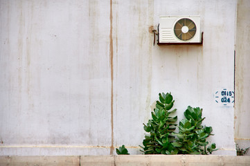 Air conditioner at the peeled wall. Some plants growing on the ground.