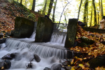 Fototapeta premium bolu