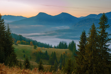 Morning mist in mountain.