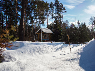 gazebo in the woods 