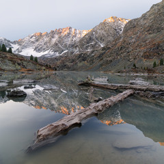 Polished trunk of the old drift wood in the middle of clear blue water of Kuyguk lake, which reflects the frozen air and surrounding mountain peaks colored by the rising sun, Altai, Russia