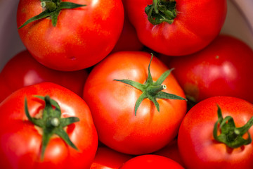 Large summer harvest. Macro shot of a group of freshly picked red ripe tomatoes.