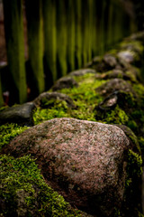 Nostalgiczne ogrodzenie © Anna Granat