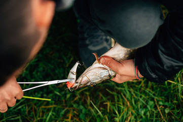 pike, wobbler, fishing lure