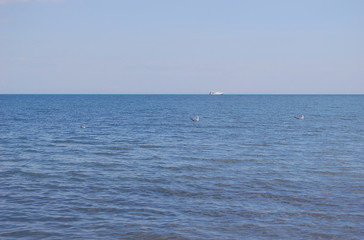 Obraz premium морской пейзаж